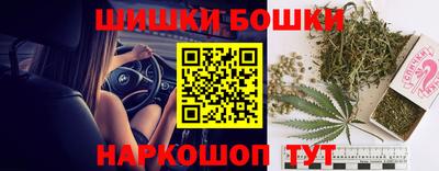 крисы Будённовск