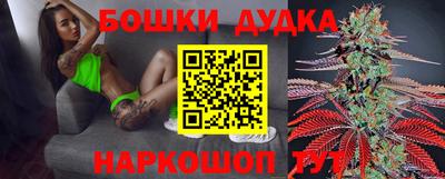крисы Будённовск