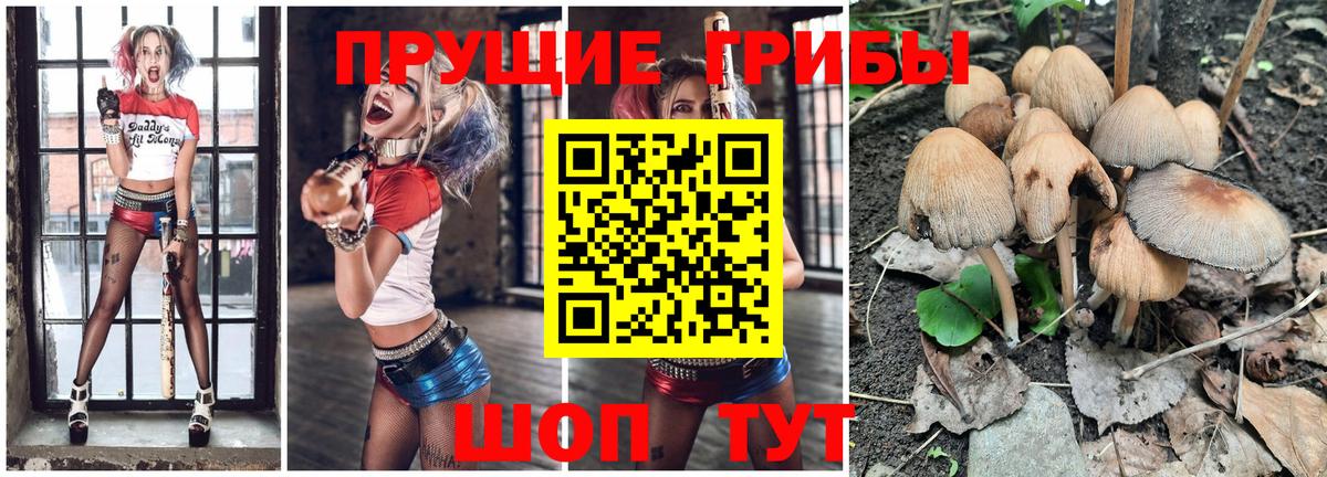 Черняховск  Галлюциногенные грибы GOLDEN TEACHER  Вход с VPN  Псилоцибиновые грибы Cubensis 