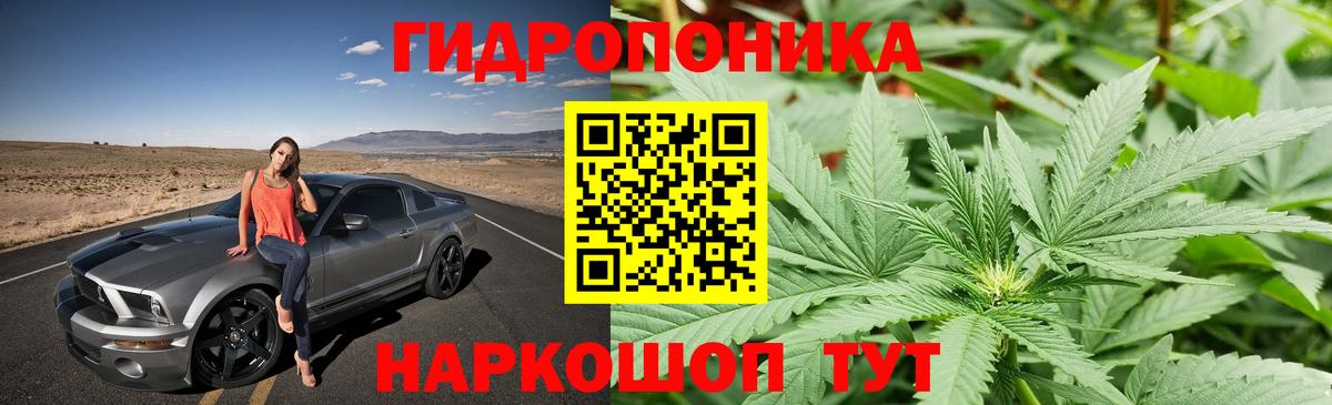Шишки марихуана тримм  Шишки марихуана индика  Конопля THC 21%  Вход с VPN  Марихуана VHQ  Черняховск 